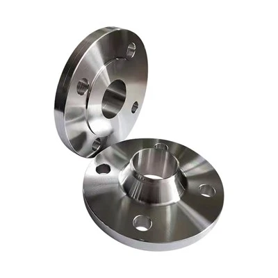 310 Flanges Butt Weld