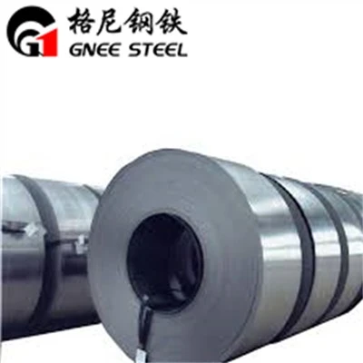 310S Coil Cruach Dhosmálta