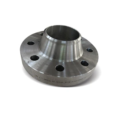 321 Flanges Butt Weld