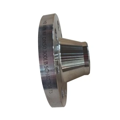 347 Flanges Butt Weld