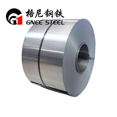 410S Ss Coil